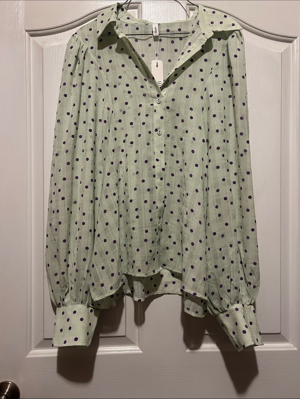 Glam Light Green Polka Dot Button-Up Blouse with Purple Dots